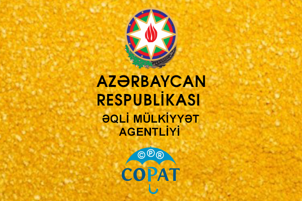 Sənaye mülkiyyəti obyektlərinə dair məlumatların dərc edildiyi “Sənaye mülkiyyəti” bülletenlərinin 2023-cü ildə ilk nömrələri çapdan buraxılıb