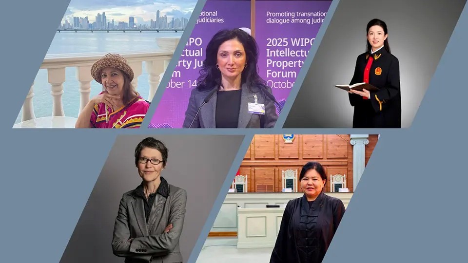 Vaxtilə kvazi məhkəmə orqanı hesab olunan Əqli Mülkiyyət Agentliyinin Apellyasiya Şurasının sədri olmuş hazırda Bakı Apellyasiya Məhkəməsinin hakimi olan Günel Sevdimaliyevanın müsahibəsi Ümumdünya Əqli Mülkiyyət Təşkilatının rəsmi saytında dərc olunub